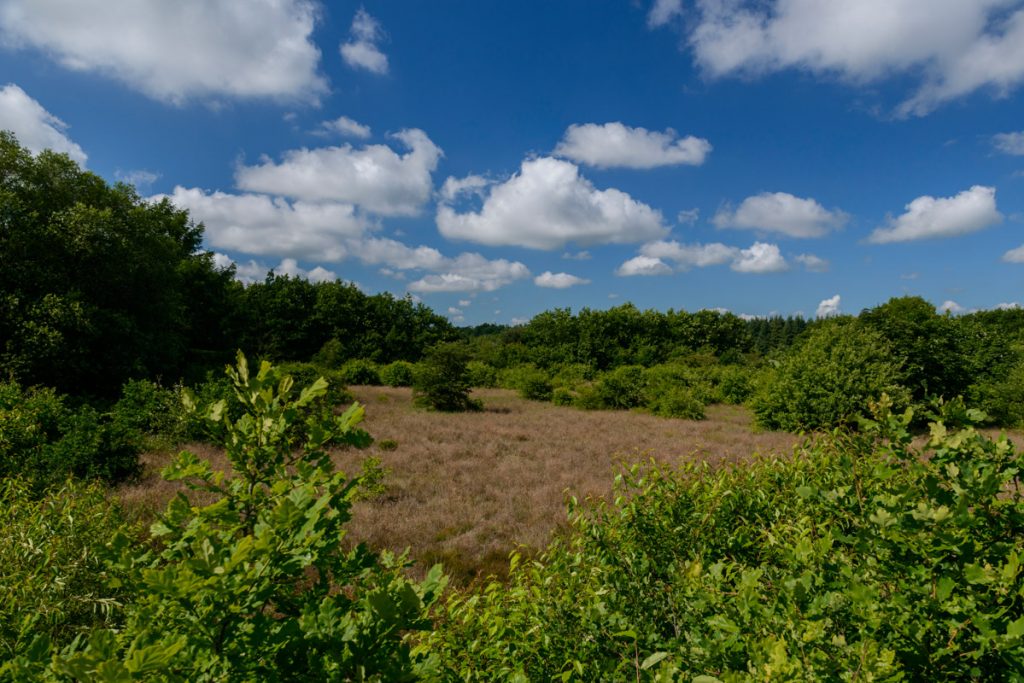20160621_8RW7649-web