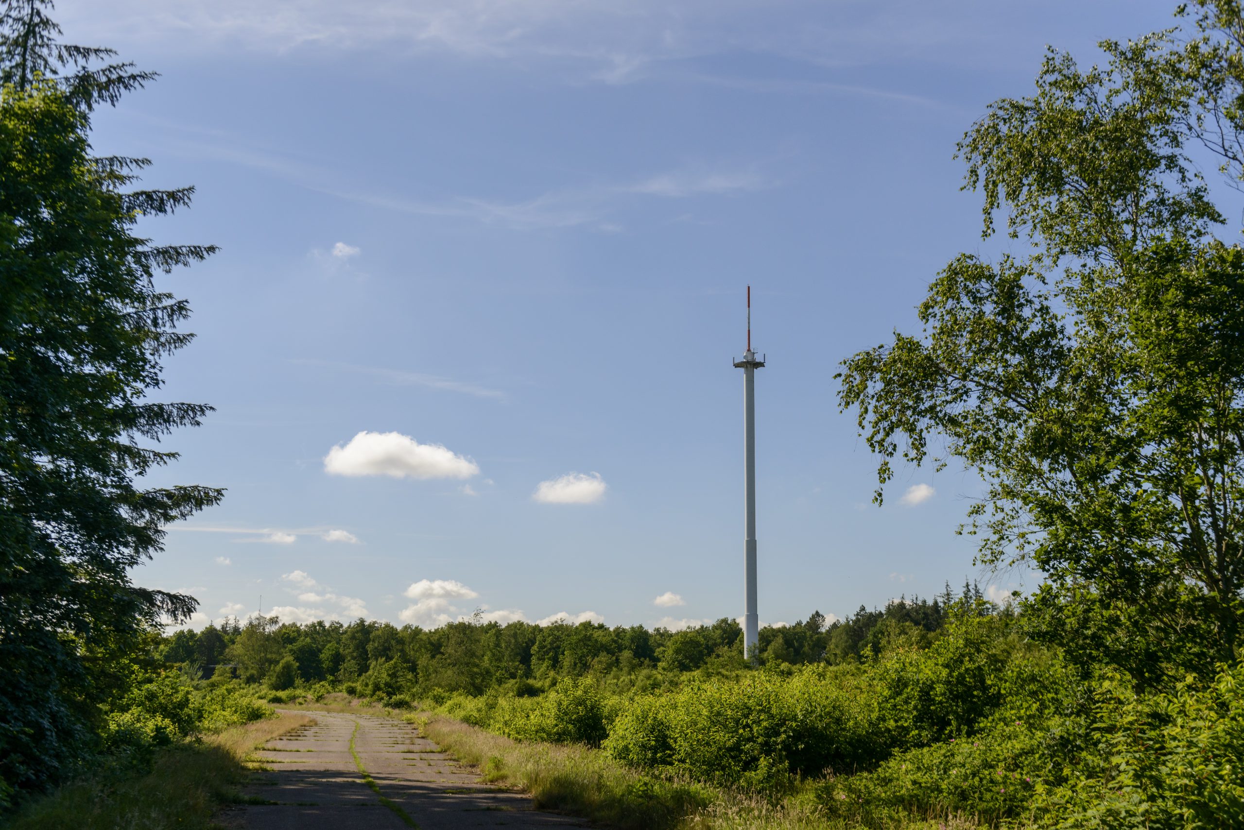 20160621_8RW7748