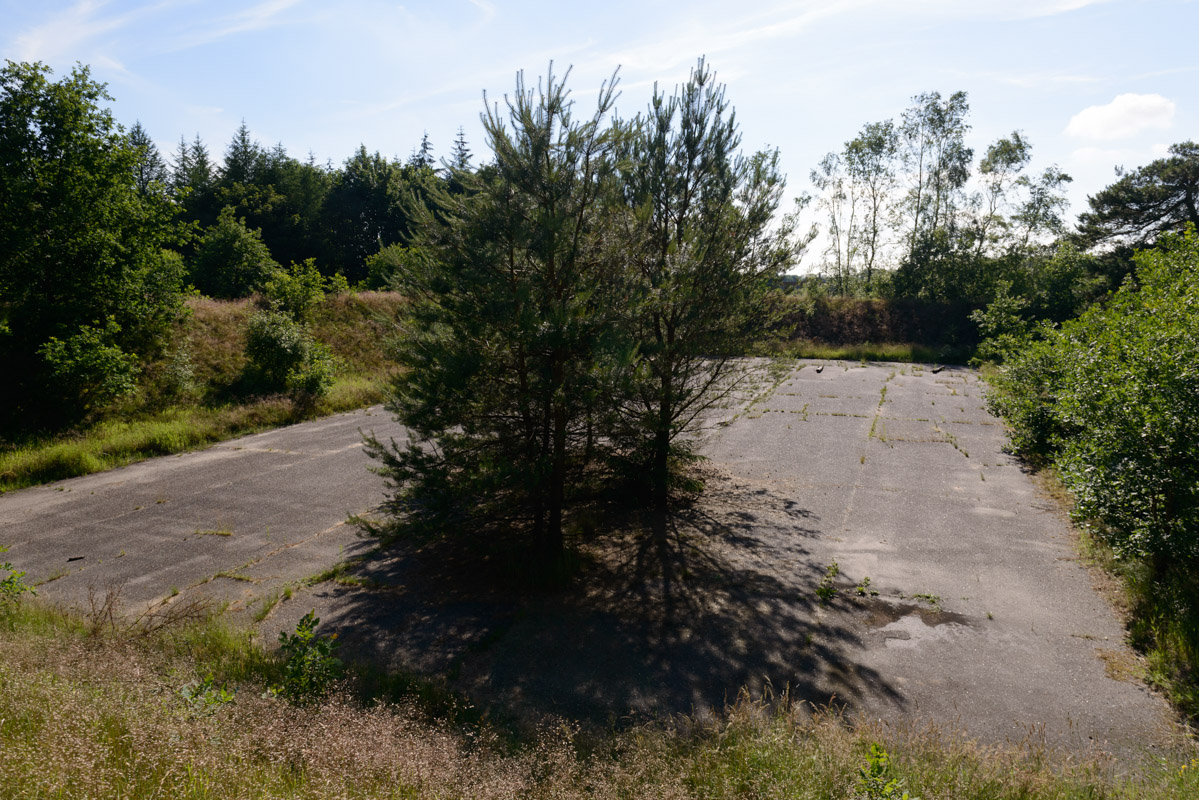 20160621_8RW7847-web